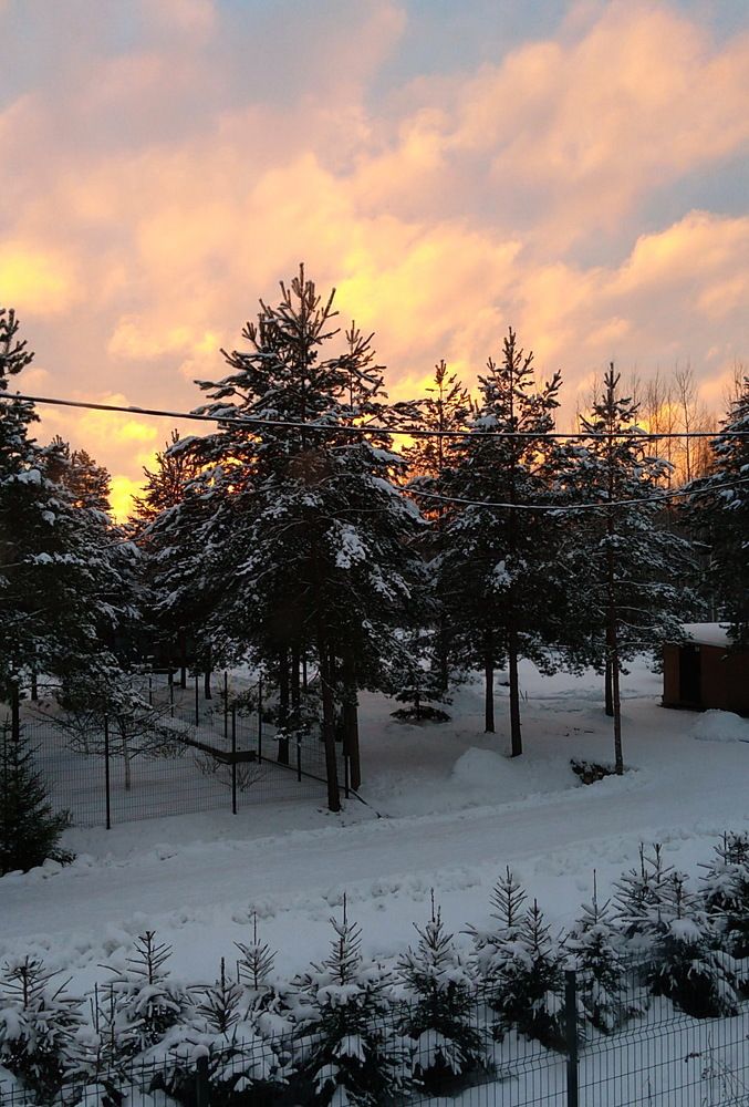 Photograph by Светлана Попкова