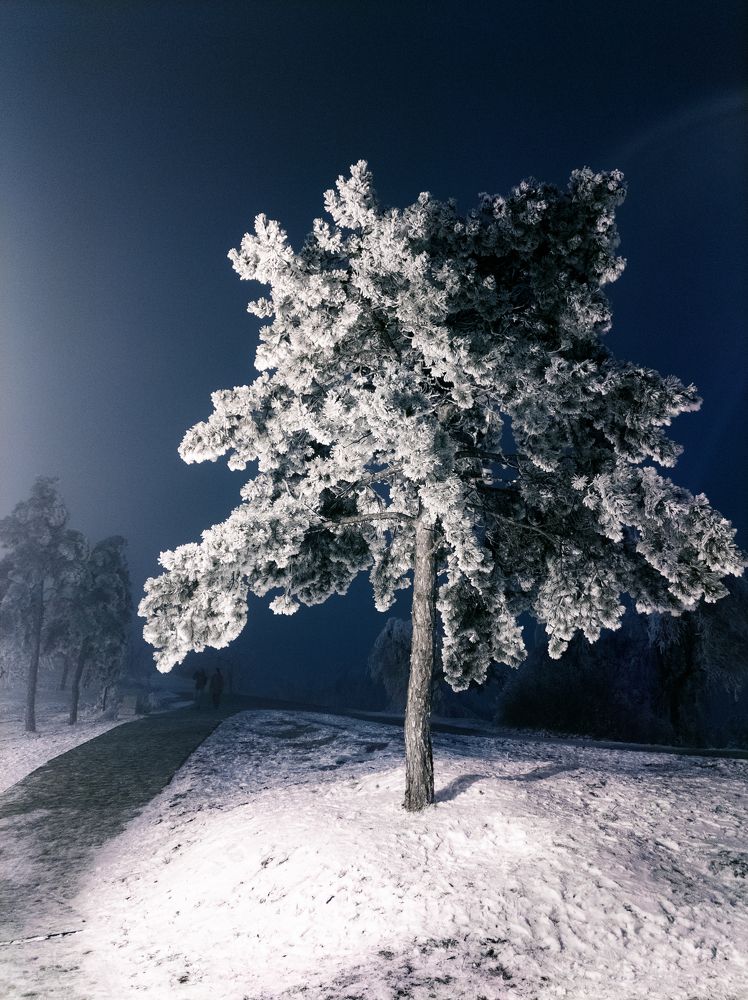 Photograph by Антон Калашников