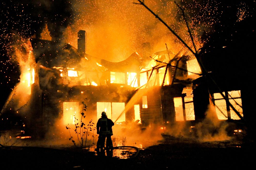 Photograph by Zilvinas Mencikovas (Falco)