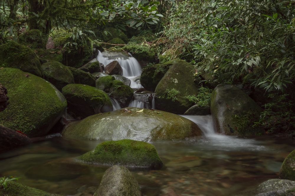Evening in Florencia