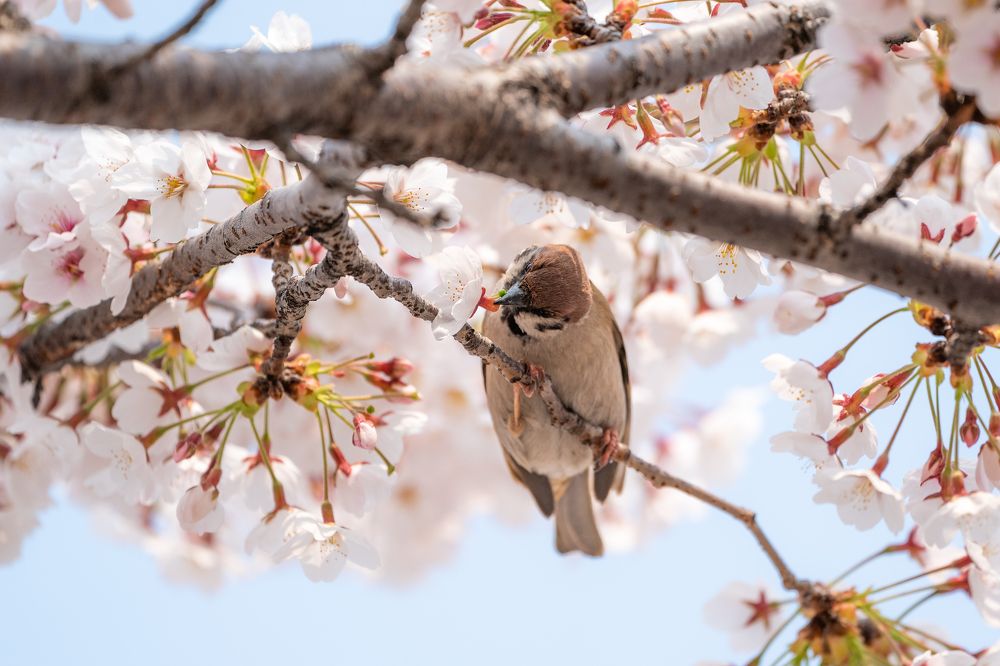 Photograph by Илья Меркулов