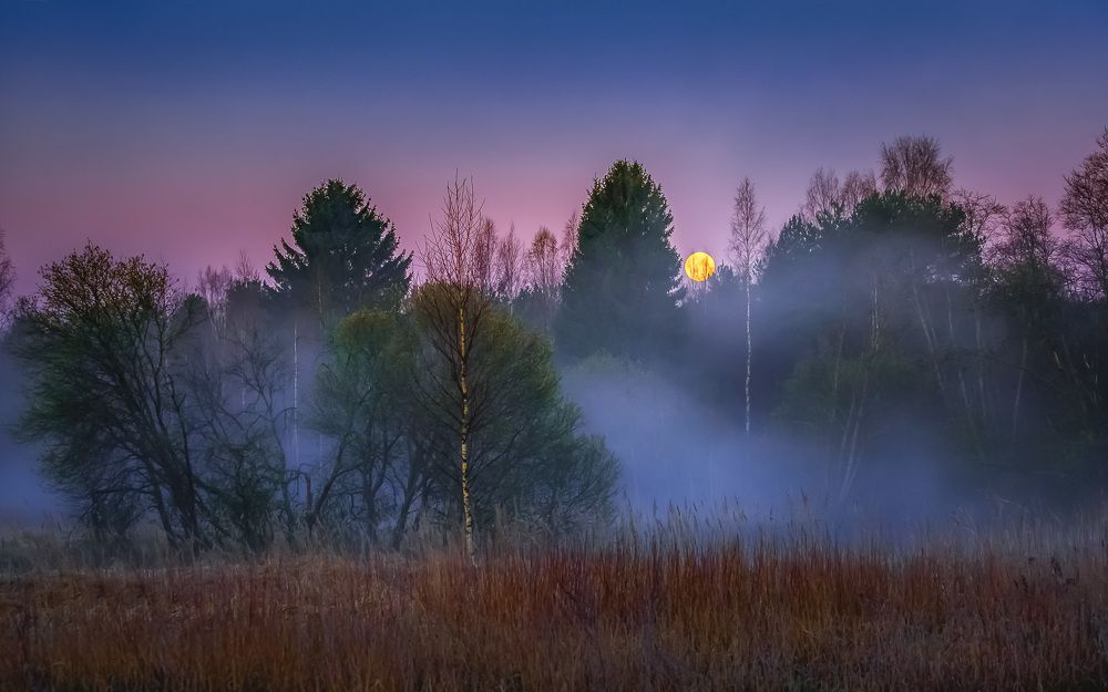 Photograph by Евгений Луцко