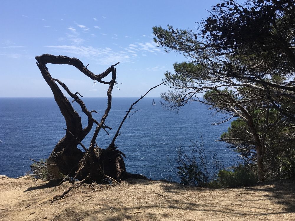 Photograph by Núria Boronat