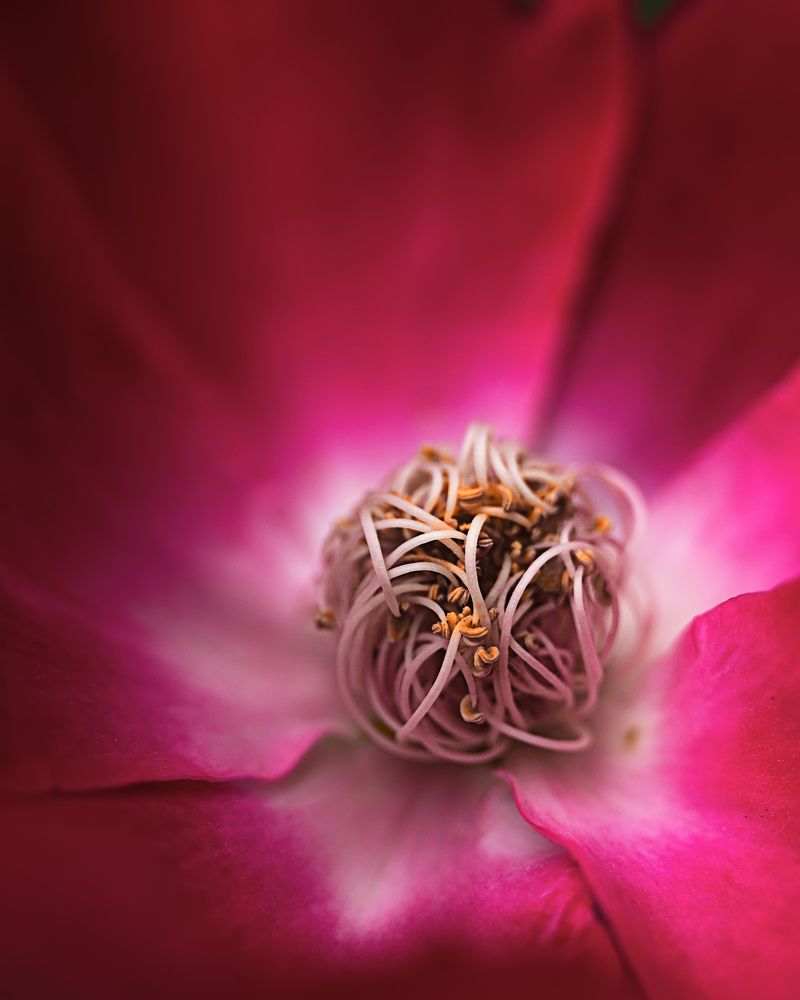 Выжигающий комок нервов.