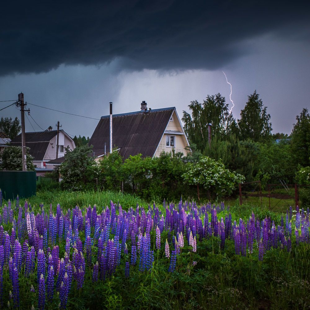 Photograph by Евгений Луцко