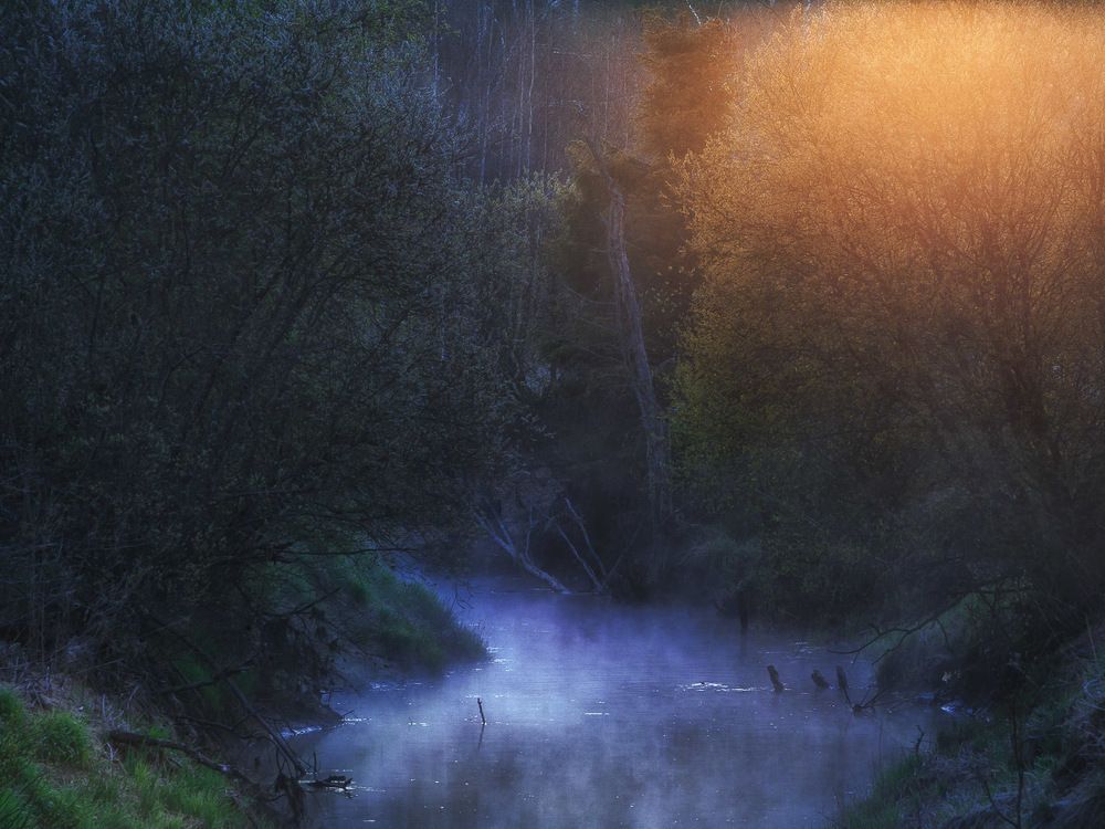 Photograph by Евгений Луцко