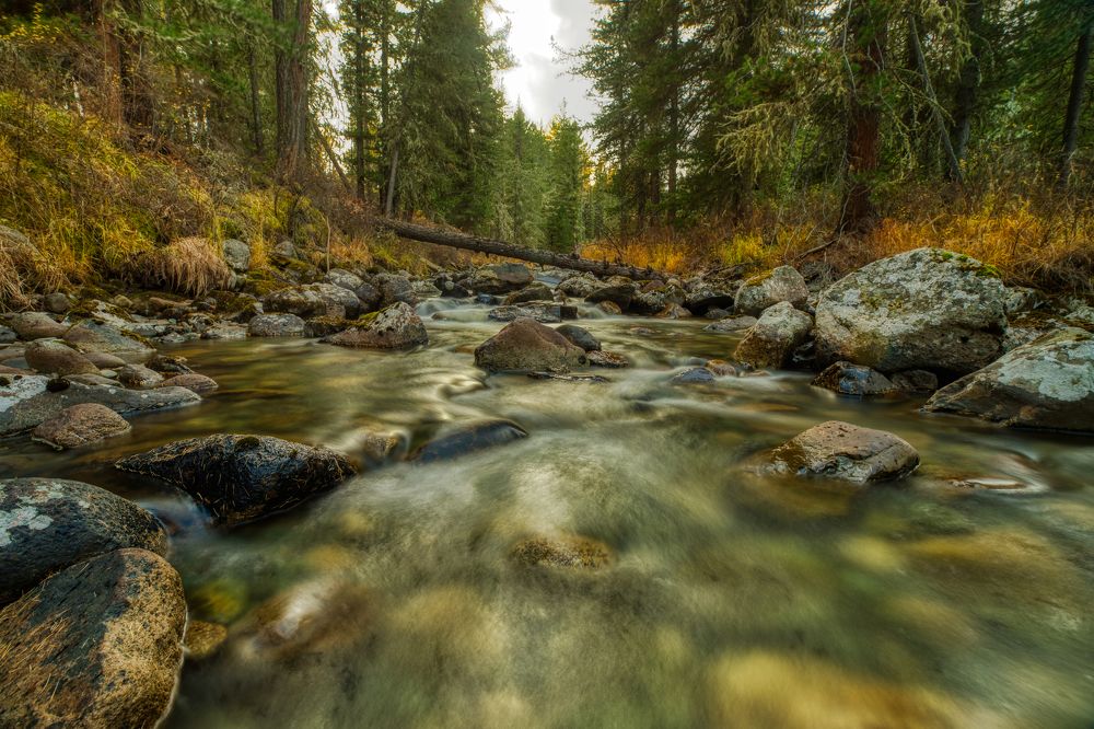 Photograph by Александр Леньков