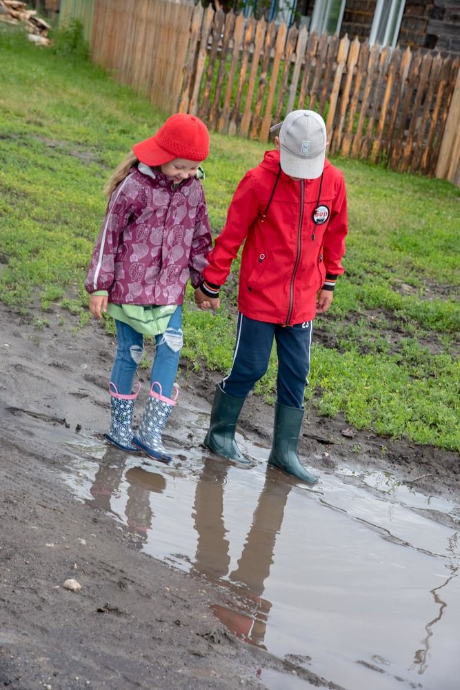 Неожиданная дружба