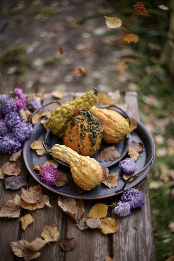 Photograph by Татьяна Кытина