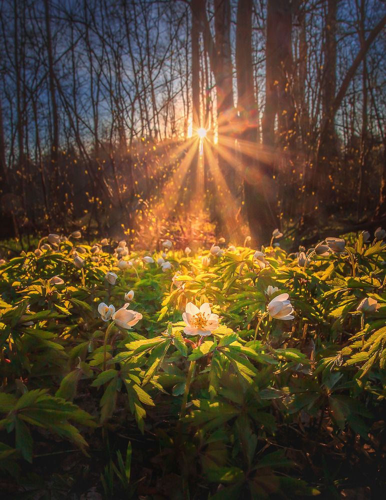 Photograph by Евгений Луцко