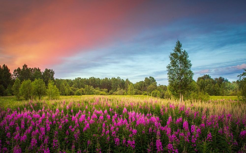 Photograph by Евгений Луцко