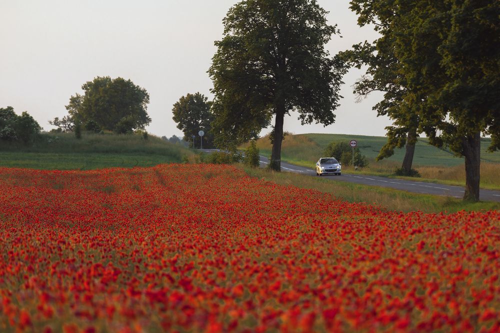 Photograph by Наталья Брюхненко