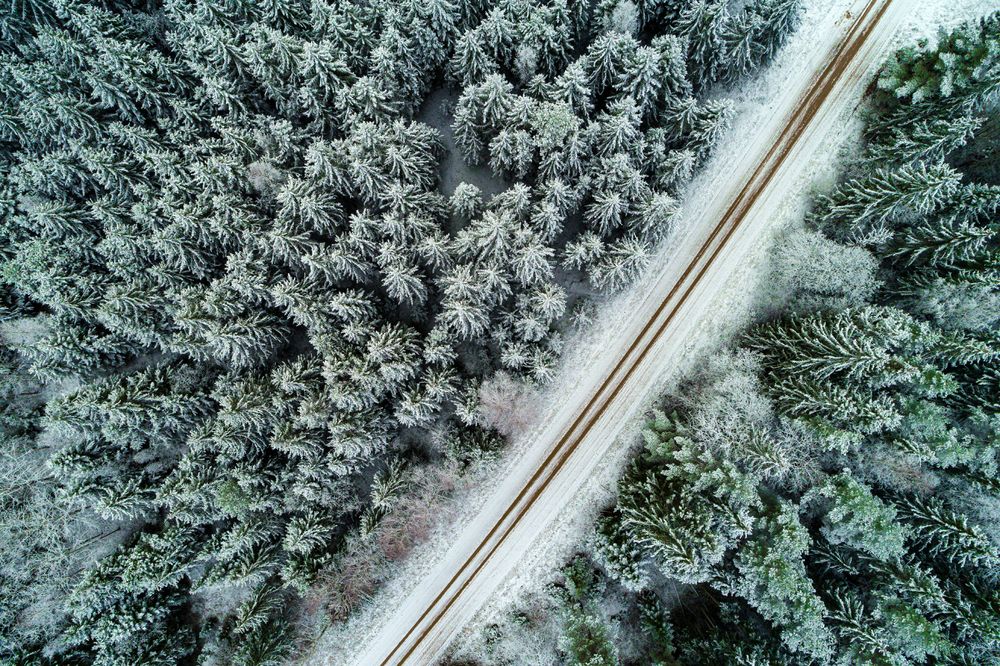 Photograph by Gatis Vilbrants