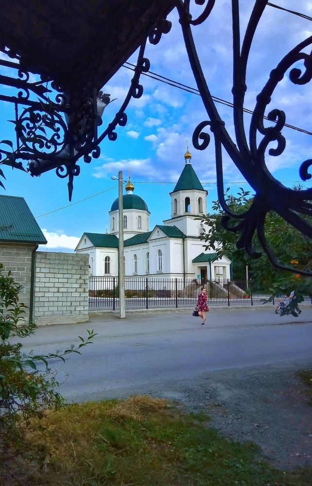 Photograph by Алла Холодова