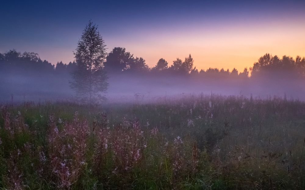 Photograph by Евгений Луцко