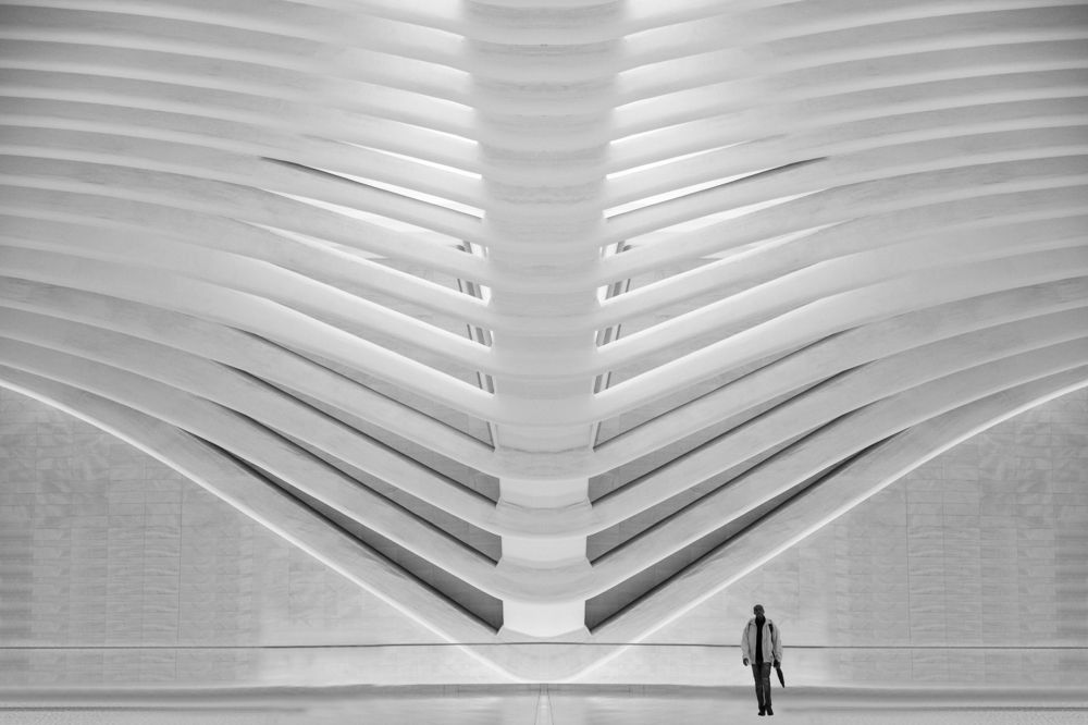 Фотография автора Ibrahim Nabeel