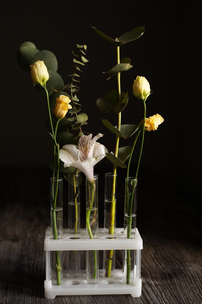 Photograph by Евгения Цой