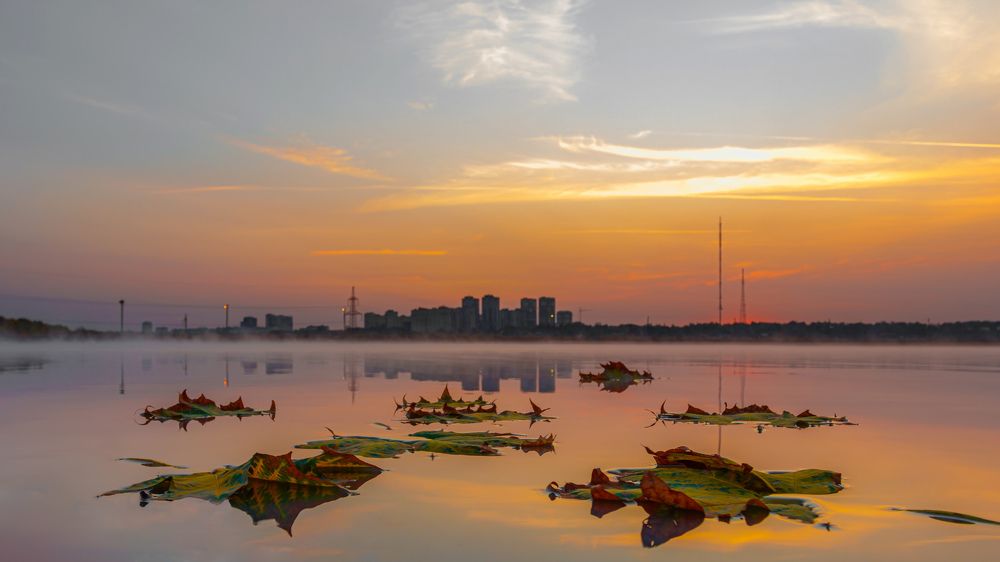 Осенняя флотилия