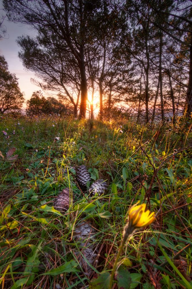 Photograph by Sascha Fiori