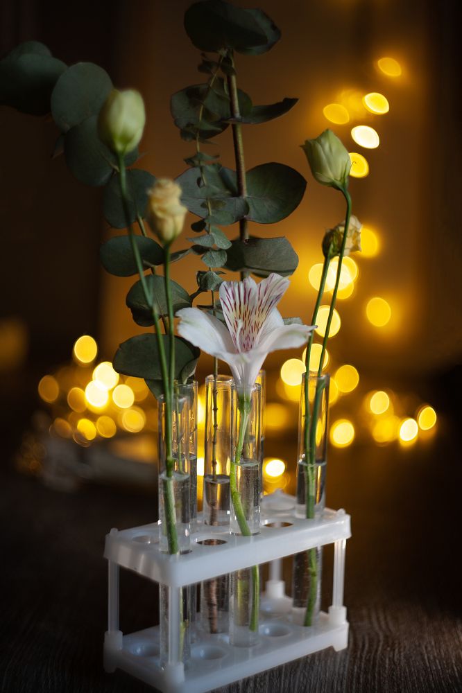 Photograph by Евгения Цой