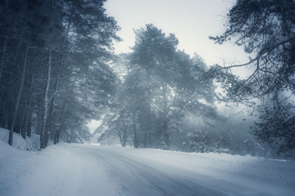 Photograph by Юлия Тарасенко