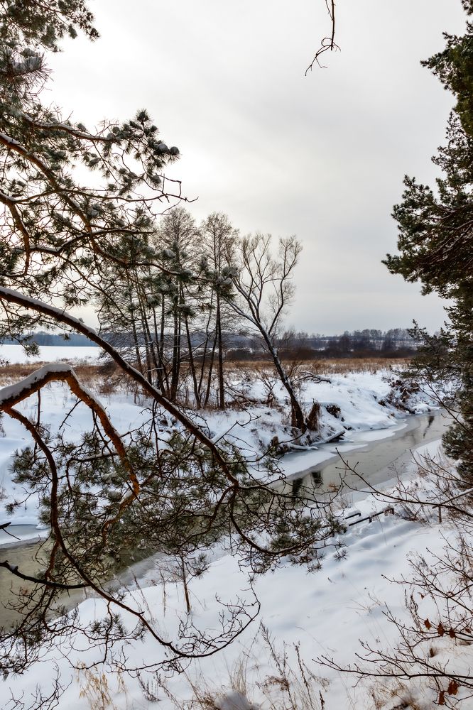 Photograph by Константин Панькин