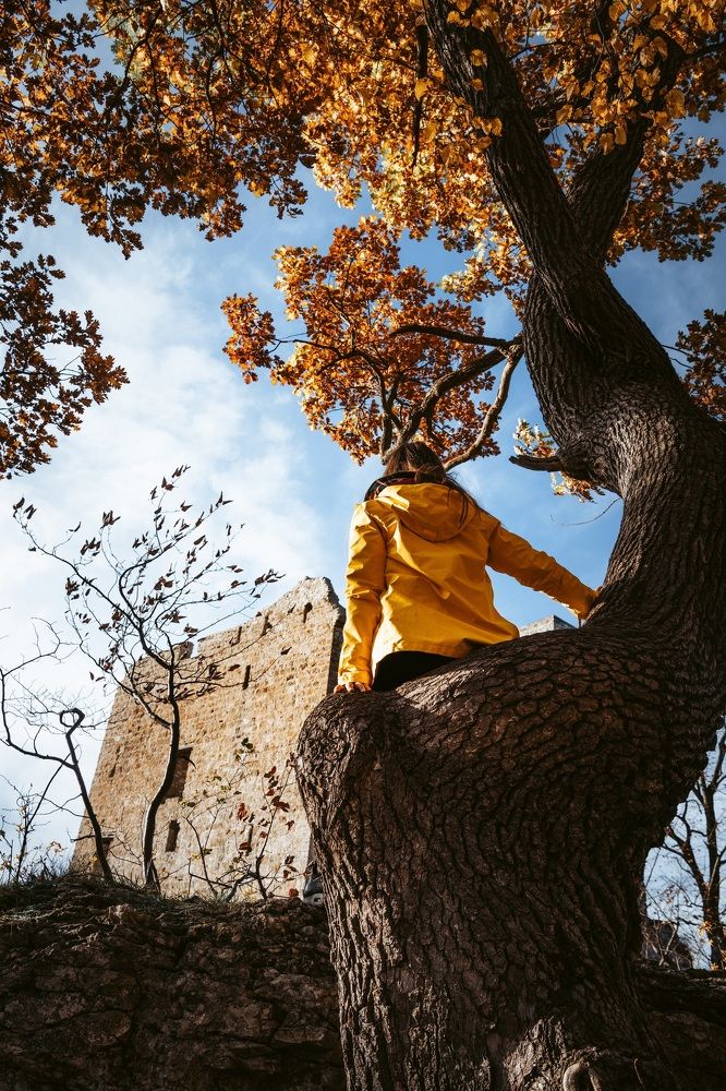 Photograph by Daniel