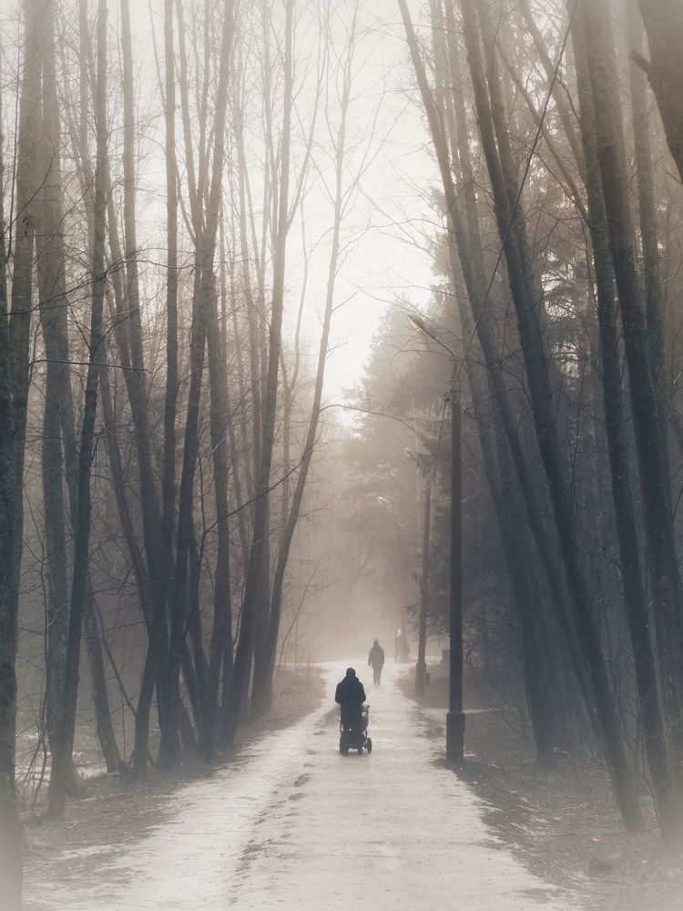 Foggy walking