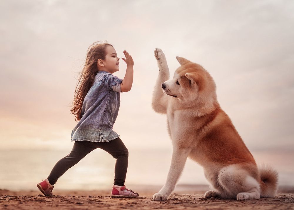 Photograph by Андрей Селиверстов