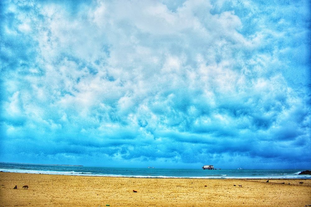 Photograph by mahmoud allam