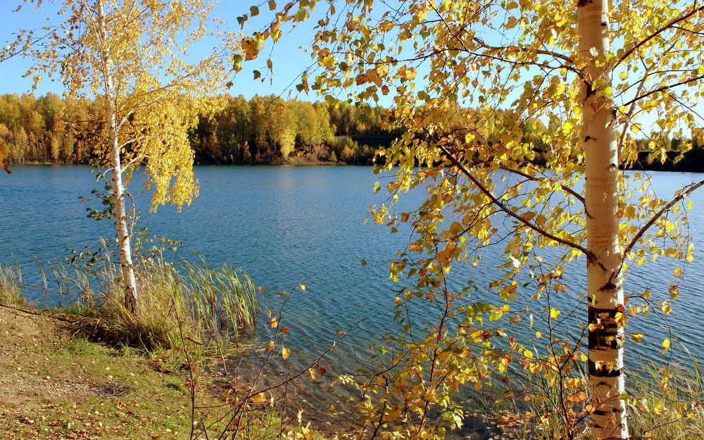 Осенний ветерок...