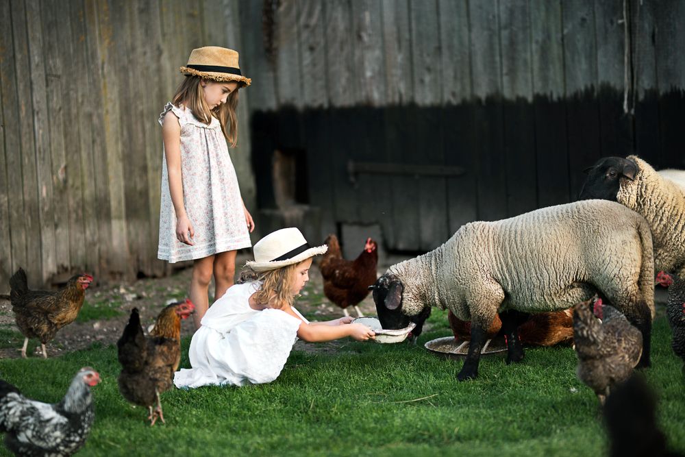 Фотография автора VAIDA MARTINKIENE