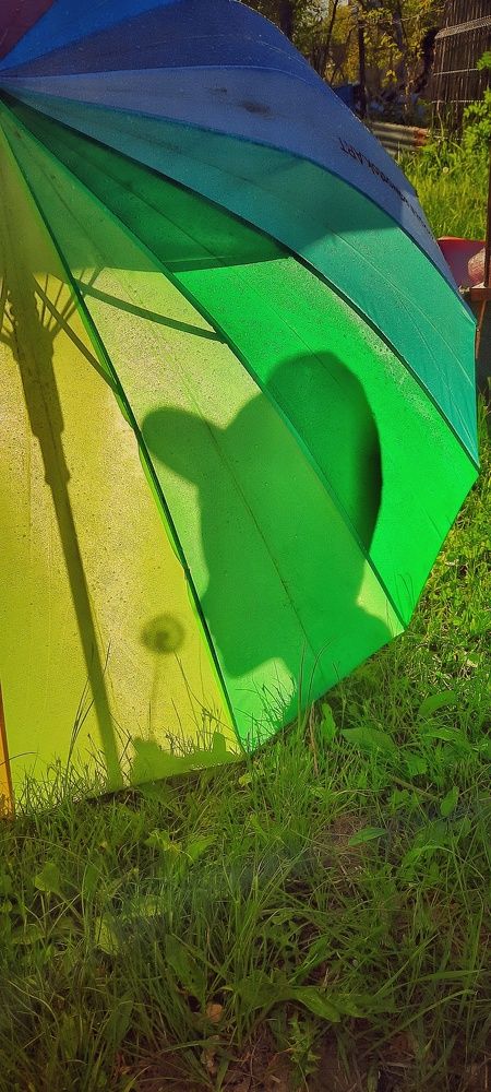 Photograph by Валентина Куцерук