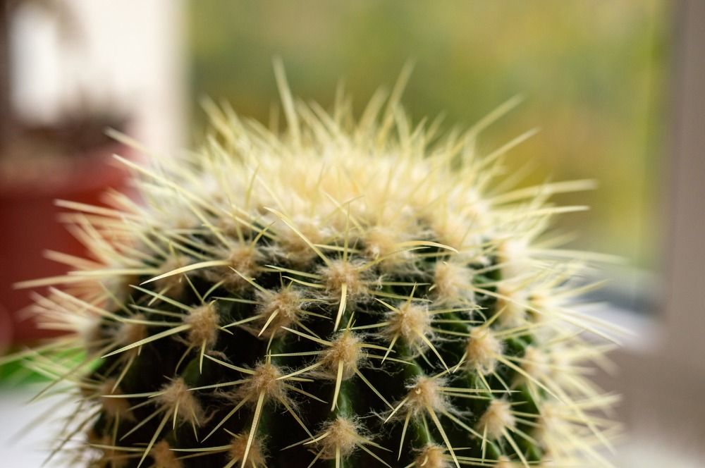 Photograph by Максим Нелидов