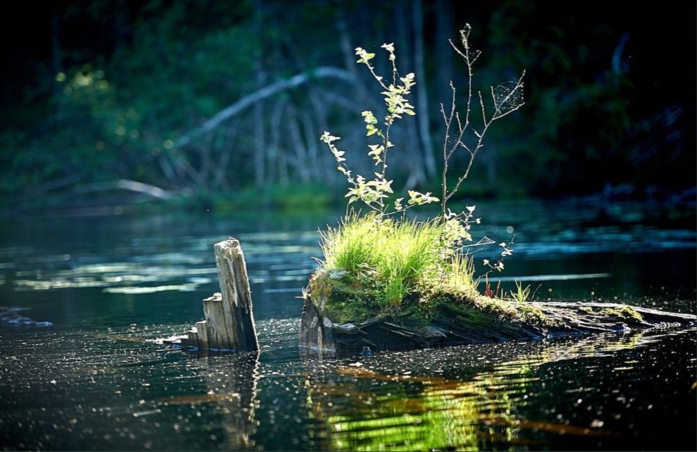 Photograph by Александр Антонов