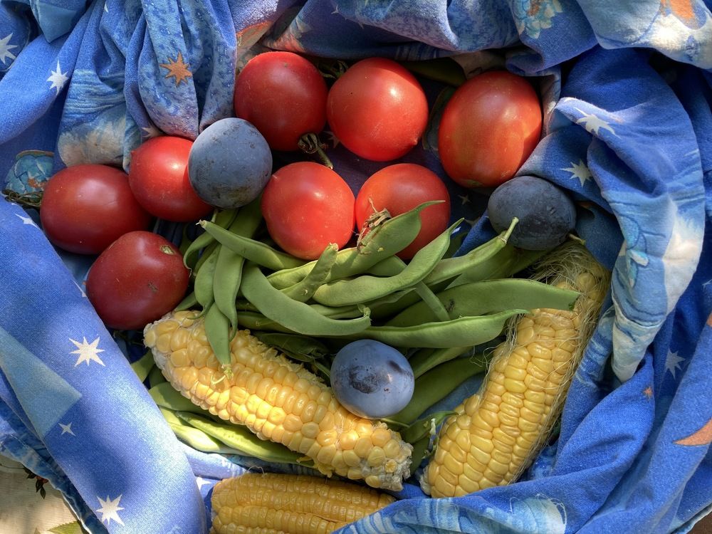 Радость лета