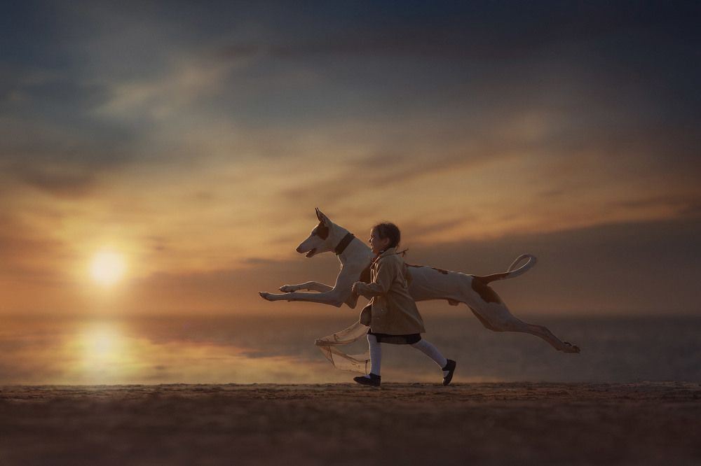 Photograph by Андрей Селиверстов