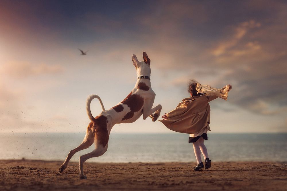 Photograph by Андрей Селиверстов