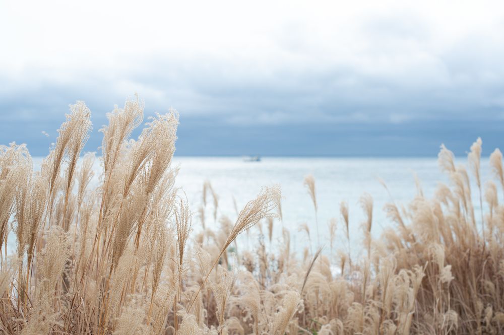 Photograph by Ирина Сахарчук