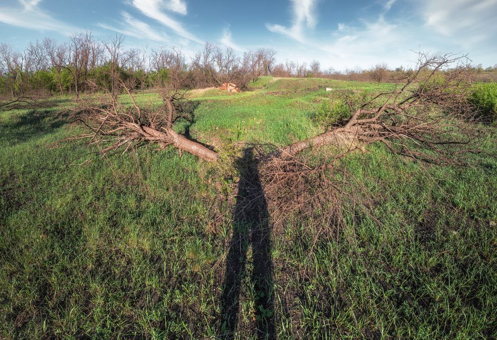 Иди обниму)