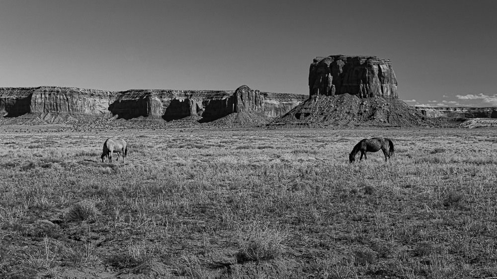 Photograph by Jernej Peljhan