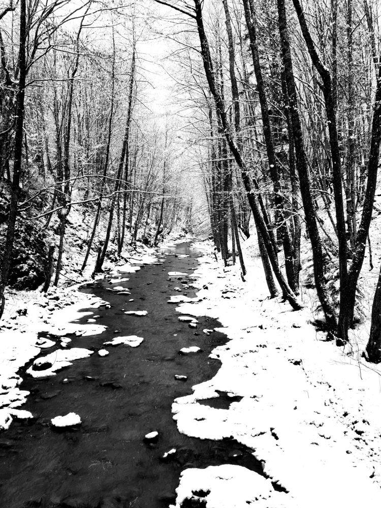 Photograph by Виктория Стецко