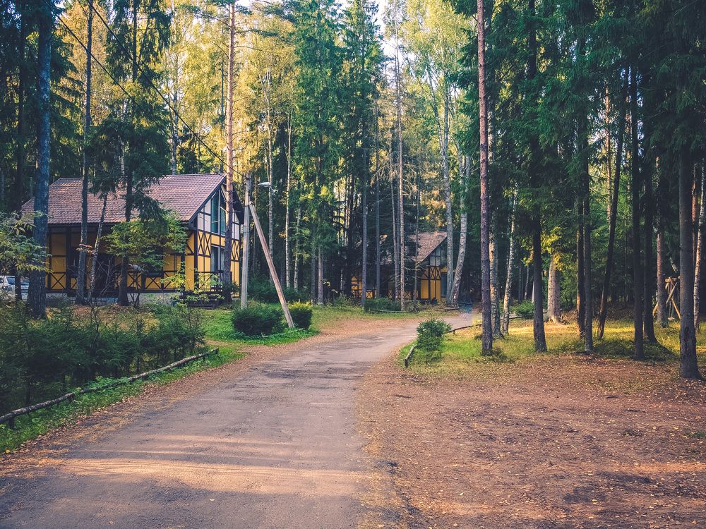 Photograph by Владимир Поздняков