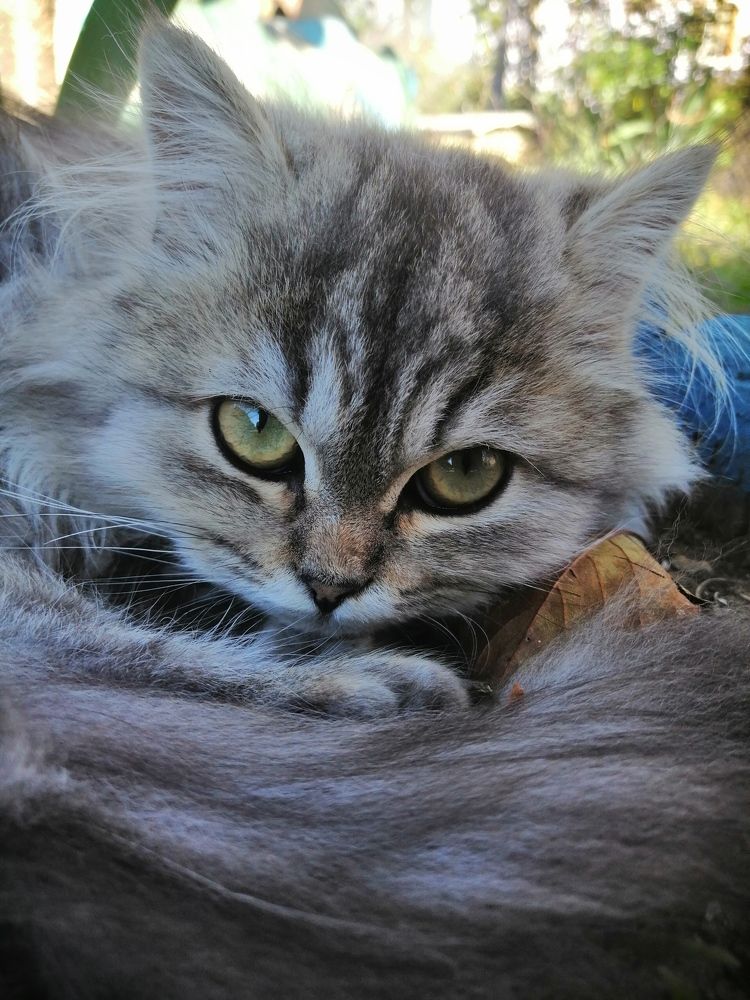 Photograph by Евгения Червякова