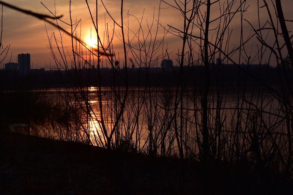 Photograph by Андрей Микулич