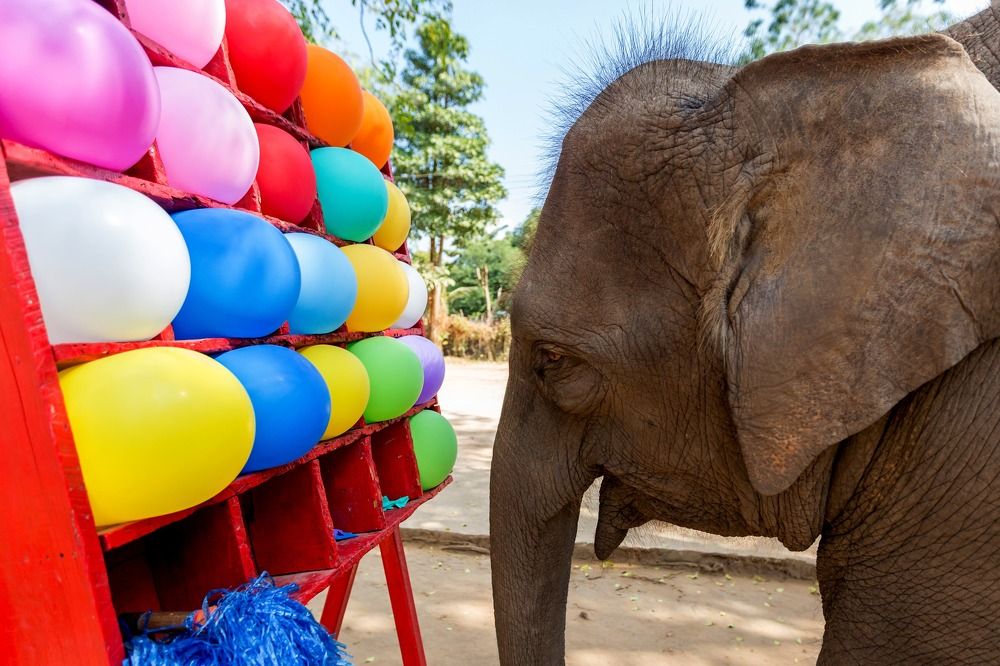 Photograph by Oleg Patrin