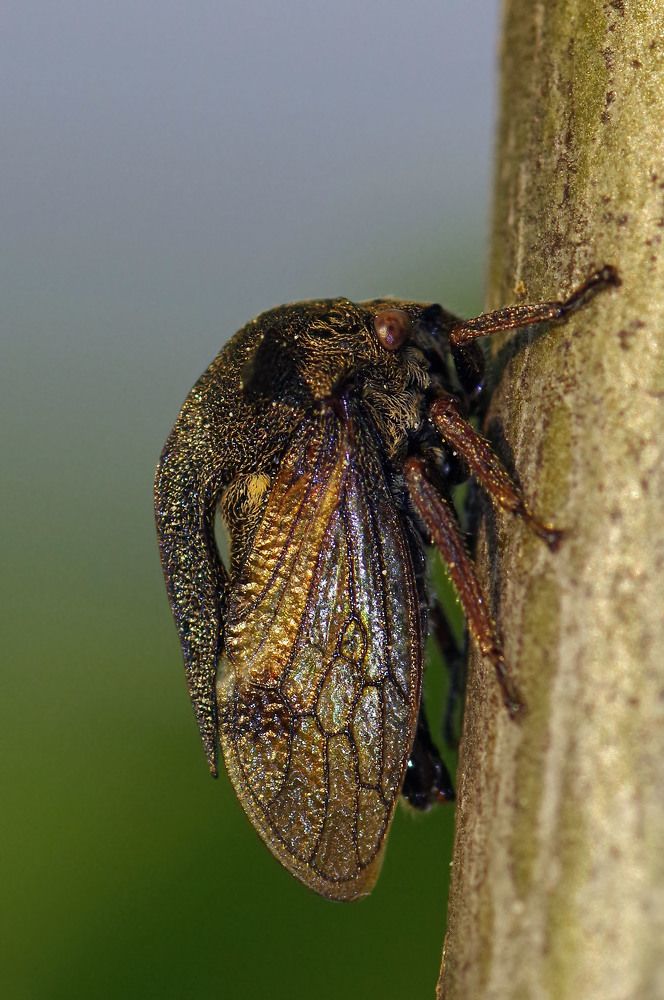 Photograph by Светлана