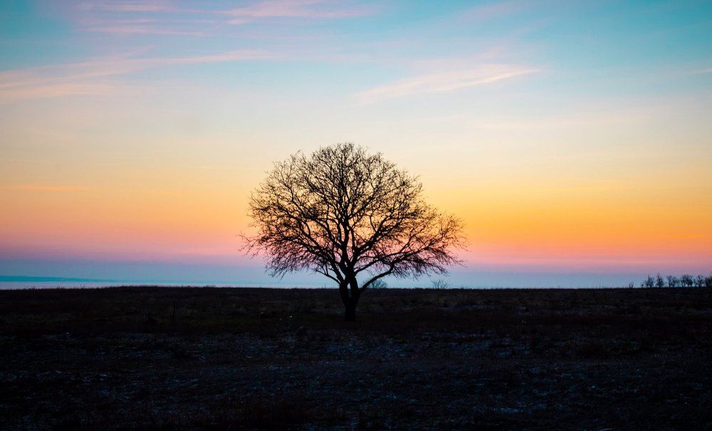 Photograph by Alexander Osetinsky