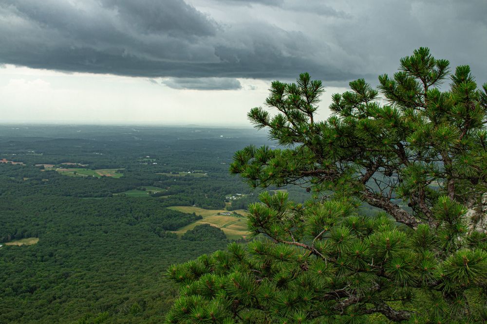 Life on top of the mountain