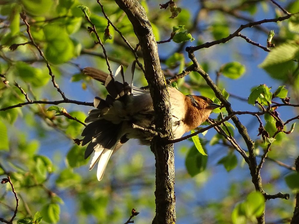 Photograph by Светлана Соболева